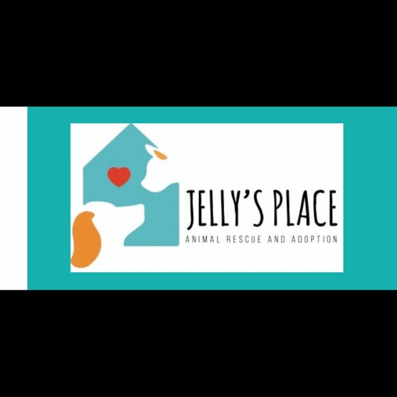 Hand Sewn Dog Print Reusable Tote Bag - Picture 4 of 4